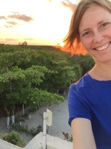 viewfromtheroof copy